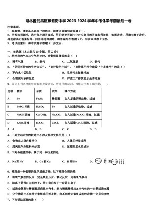湖北省武昌区粮道街中学2023-2024学年中考化学考前最后一卷含解析.doc