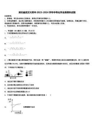 湖北省武汉大附中2023-2024学年中考化学全真模拟试题含解析.doc