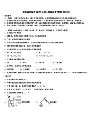 湖北省武汉市2023-2024学年中考四模化学试题含解析.doc