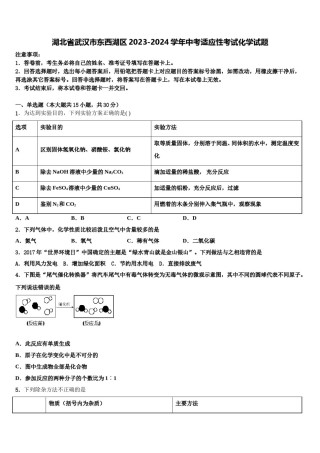 湖北省武汉市东西湖区2023-2024学年中考适应性考试化学试题含解析.doc