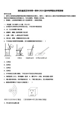湖北省武汉市华师一附中2024届中考押题化学预测卷含解析.doc