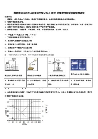 湖北省武汉市洪山区重点中学2023-2024学年中考化学全真模拟试卷含解析.doc
