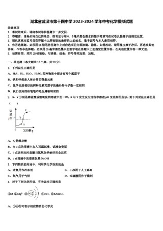 湖北省武汉市第十四中学2023-2024学年中考化学模拟试题含解析.doc