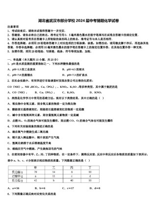 湖北省武汉市部分学校2024届中考猜题化学试卷含解析.doc