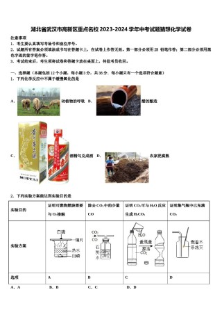 湖北省武汉市高新区重点名校2023-2024学年中考试题猜想化学试卷含解析.doc