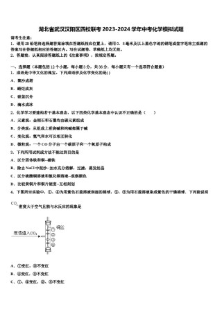 湖北省武汉汉阳区四校联考2023-2024学年中考化学模拟试题含解析.doc