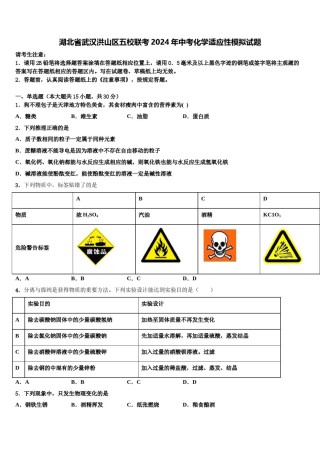 湖北省武汉洪山区五校联考2024年中考化学适应性模拟试题含解析.doc