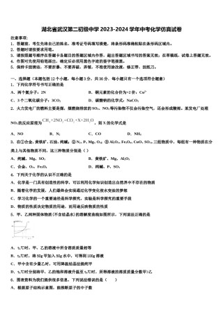 湖北省武汉第二初级中学2023-2024学年中考化学仿真试卷含解析.doc