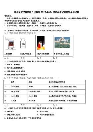 湖北省武汉黄陂区六校联考2023-2024学年中考试题猜想化学试卷含解析.doc