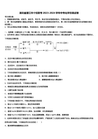 湖北省潜江市十校联考2023-2024学年中考化学仿真试卷含解析.doc