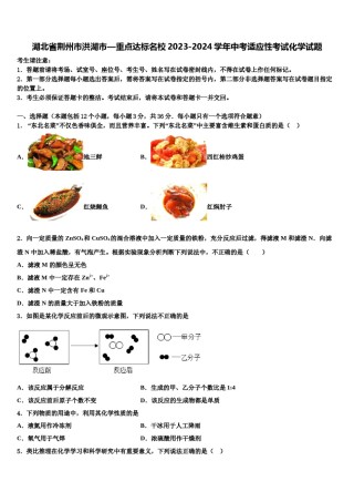 湖北省荆州市洪湖市—重点达标名校2023-2024学年中考适应性考试化学试题含解析.doc