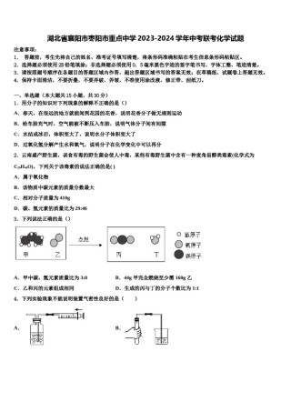 湖北省襄阳市枣阳市重点中学2023-2024学年中考联考化学试题含解析.doc
