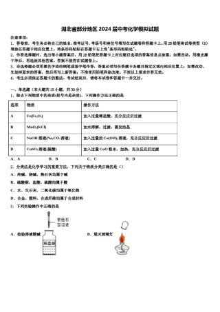 湖北省部分地区2024届中考化学模拟试题含解析.doc