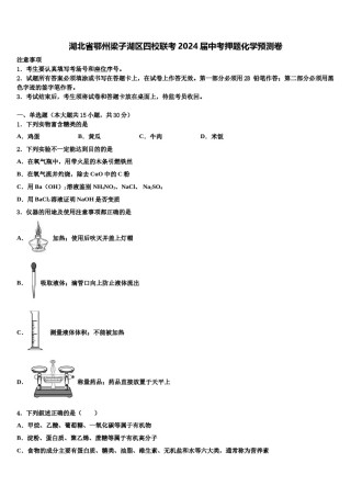 湖北省鄂州梁子湖区四校联考2024届中考押题化学预测卷含解析.doc
