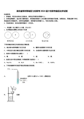 湖北省鄂州鄂城区七校联考2024届十校联考最后化学试题含解析.doc
