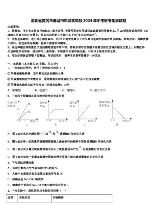 湖北省黄冈市麻城市思源实验校2024年中考联考化学试题含解析.doc