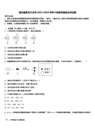湖北省黄石大冶市2023-2024学年十校联考最后化学试题含解析.doc