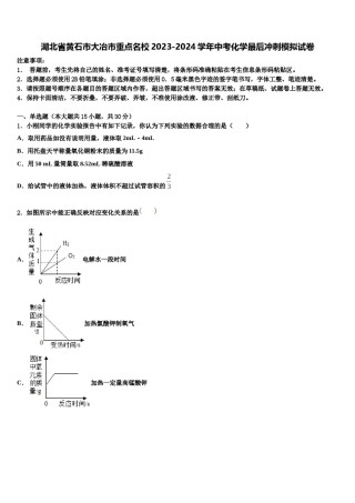 湖北省黄石市大冶市重点名校2023-2024学年中考化学最后冲刺模拟试卷含解析.doc