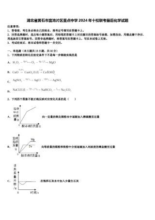 湖北省黄石市富池片区重点中学2024年十校联考最后化学试题含解析.doc