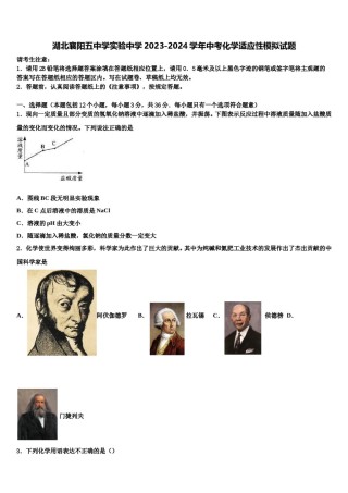 湖北襄阳五中学实验中学2023-2024学年中考化学适应性模拟试题含解析.doc
