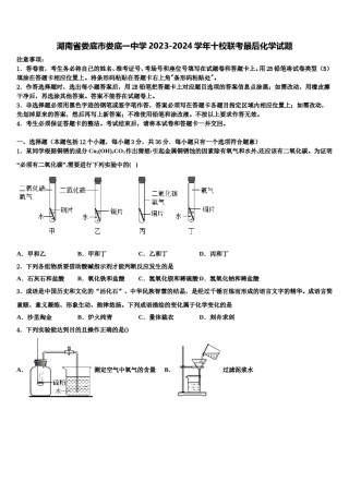 湖南省娄底市娄底一中学2023-2024学年十校联考最后化学试题含解析.doc