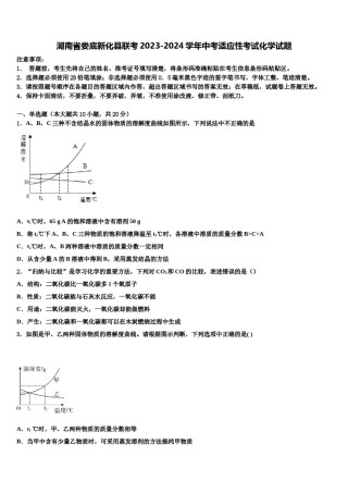 湖南省娄底新化县联考2023-2024学年中考适应性考试化学试题含解析.doc