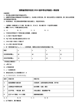 湖南省岳阳市名校2024届中考化学最后一模试卷含解析.doc