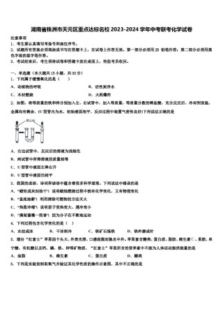湖南省株洲市天元区重点达标名校2023-2024学年中考联考化学试卷含解析.doc