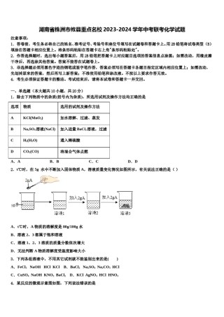 湖南省株洲市攸县重点名校2023-2024学年中考联考化学试题含解析.doc