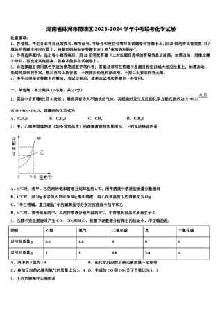 湖南省株洲市荷塘区2023-2024学年中考联考化学试卷含解析.doc