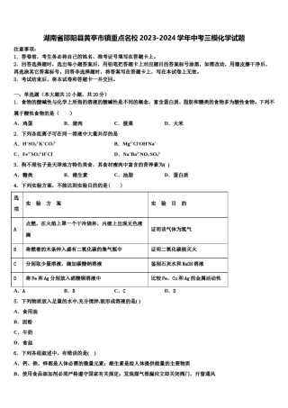湖南省邵阳县黄亭市镇重点名校2023-2024学年中考三模化学试题含解析.doc