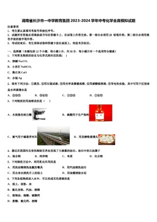 湖南省长沙市一中学教育集团2023-2024学年中考化学全真模拟试题含解析.doc
