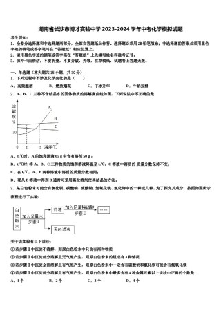 湖南省长沙市博才实验中学2023-2024学年中考化学模拟试题含解析.doc