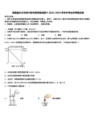 湖南省长沙市师大附中教育集团第十2023-2024学年中考化学押题试卷含解析.doc