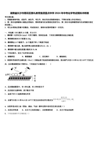 湖南省长沙市雨花区雅礼教育集团重点中学2024年中考化学考试模拟冲刺卷含解析.doc