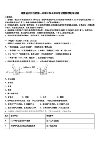 湖南省长沙铁路第一中学2024年中考试题猜想化学试卷含解析.doc