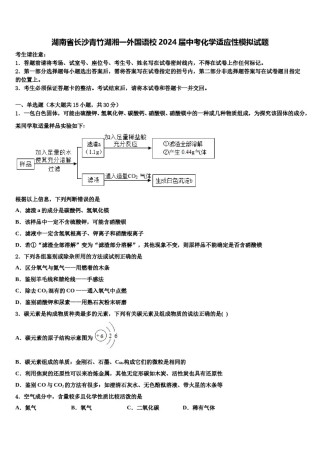 湖南省长沙青竹湖湘一外国语校2024届中考化学适应性模拟试题含解析.doc