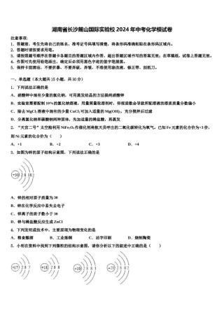 湖南省长沙麓山国际实验校2024年中考化学模试卷含解析.doc