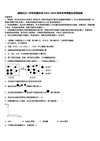 湖南长沙一中学岳麓中学2023-2024学年中考押题化学预测卷含解析.doc