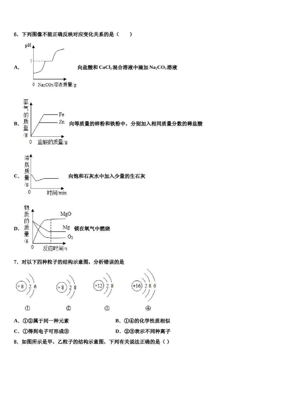 湖南长沙市北雅中学2023-2024学年中考试题猜想化学试卷含解析.doc_第2页