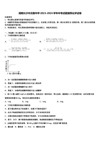 湖南长沙市北雅中学2023-2024学年中考试题猜想化学试卷含解析.doc