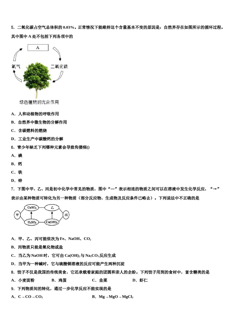 湖南长沙明德旗舰达标名校2024年中考化学全真模拟试题含解析.doc_第2页