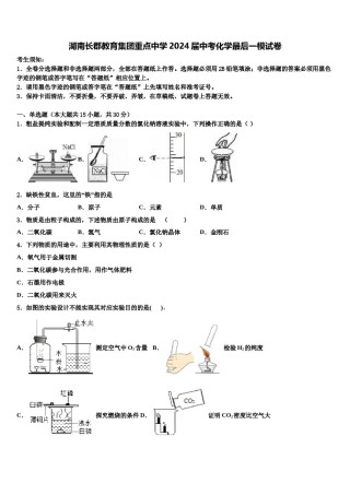 湖南长郡教育集团重点中学2024届中考化学最后一模试卷含解析.doc