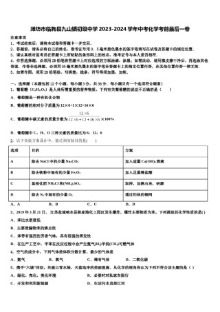 潍坊市临朐县九山镇初级中学2023-2024学年中考化学考前最后一卷含解析.doc