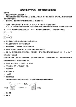 潍坊市重点中学2024届中考押题化学预测卷含解析.doc