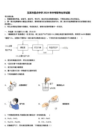 玉溪市重点中学2024年中考联考化学试题含解析.doc