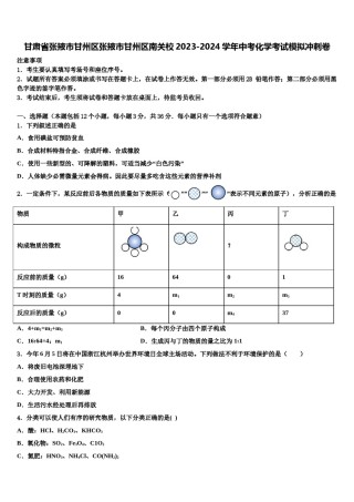 甘肃省张掖市甘州区张掖市甘州区南关校2023-2024学年中考化学考试模拟冲刺卷含解析.doc