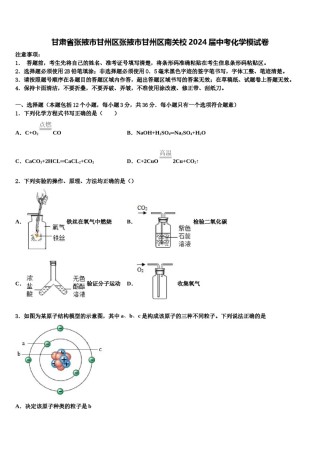 甘肃省张掖市甘州区张掖市甘州区南关校2024届中考化学模试卷含解析.doc