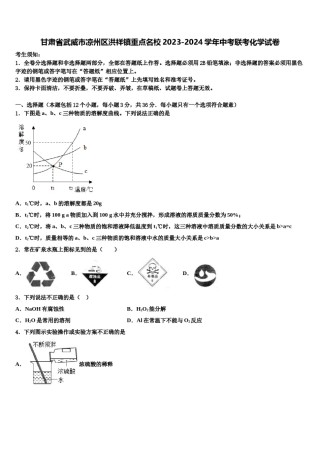 甘肃省武威市凉州区洪祥镇重点名校2023-2024学年中考联考化学试卷含解析.doc
