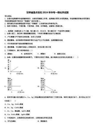 甘肃省重点名校2024年中考一模化学试题含解析.doc